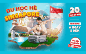 Khám Phá Trại Hè Tiếng Anh: Du Học Hè Sophia 2026 Tại Singapore Cùng Sophia English